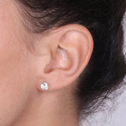 Orecchini in Argento 925 punto luce