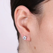 Orecchini in Argento 925 punti luce a lobo