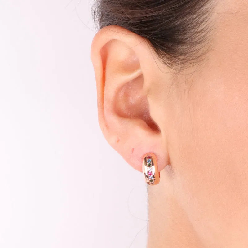Earrings in 925 Silver circles with multicolor zircon detail