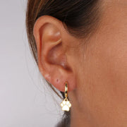 MonoOr in Argento 925 a forma di zampetta placcato oro giallo