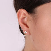 Orecchini in Argento 925 con rosa dei venti impreziosita da zircone blu e punto luce pendente