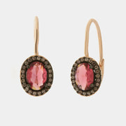 Orecchini in Argento 925 con cerchio e zircone rosso