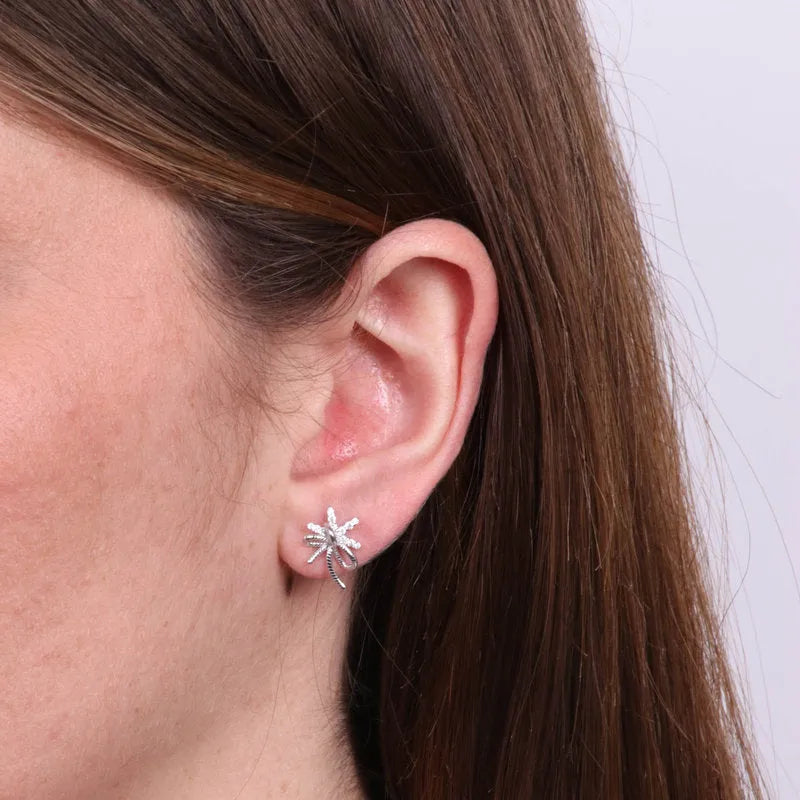 Orecchini in Argento 925 palma con zirconi