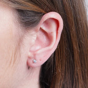 Orecchini in Argento 925 punto luce