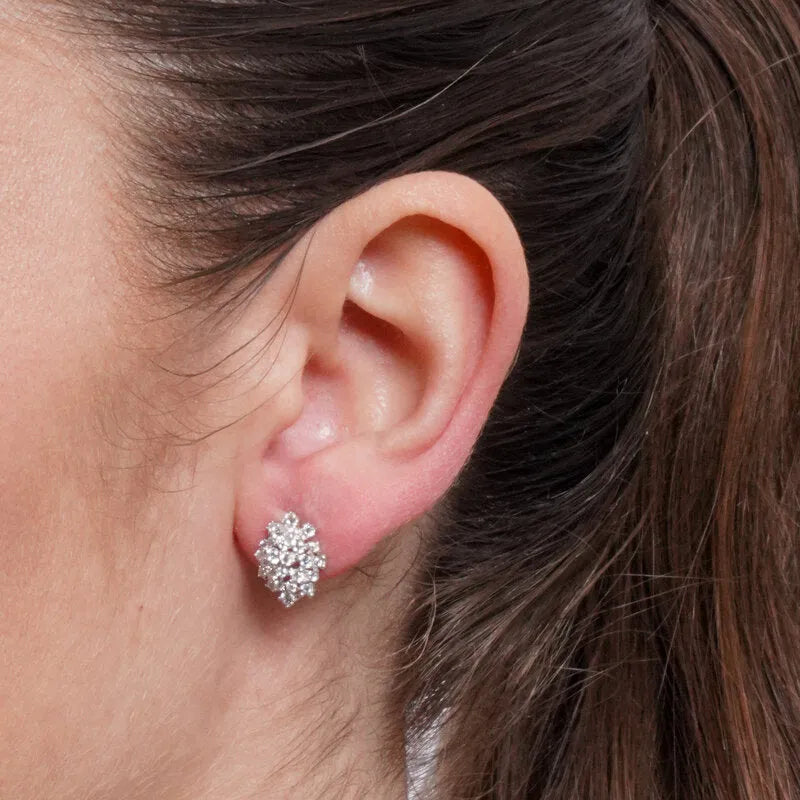 Orecchini in Argento 925 a lobo zirconato