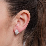 Orecchini in Argento 925 a lobo zirconato