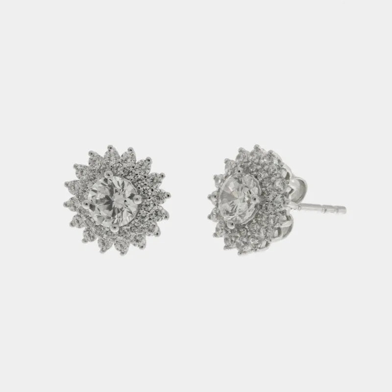 Orecchini in Argento 925 a lobo zirconato