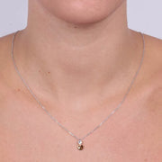 Collana in Argento 925 con doppio punto luce di cristalli bicolore pendenti.