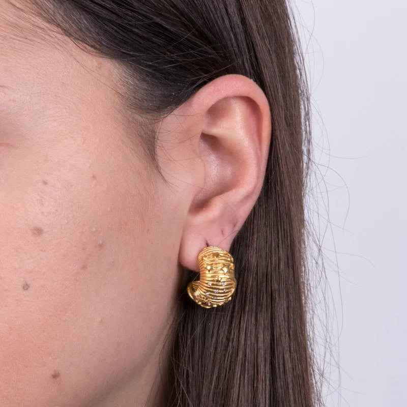 Steel Hoop Earrings with Crystals