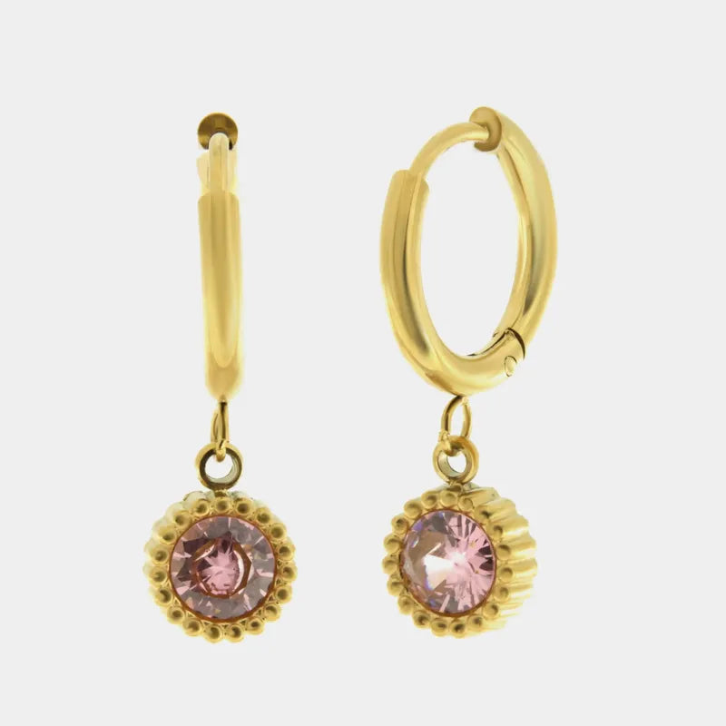 Orecchini in Acciaio cerchio con cristallo rosa