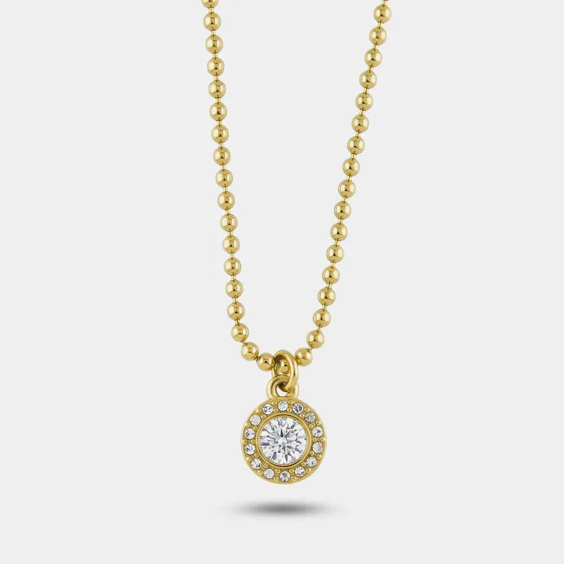 Collana in Acciaio cristallo tondo con cornice di cristalli