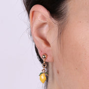 Orecchini in Metallo