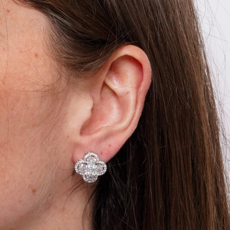 Orecchini in Metallo Lobo Piccolo Argento Strass