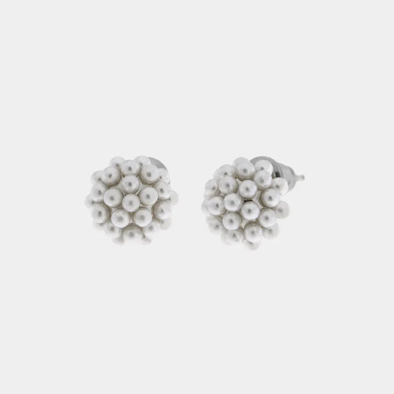 Orecchini in Metallo Lobo Piccolo Cristallo Argento