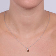 Collana in Argento 925 con doppio punto luce di cristalli bicolore pendenti.